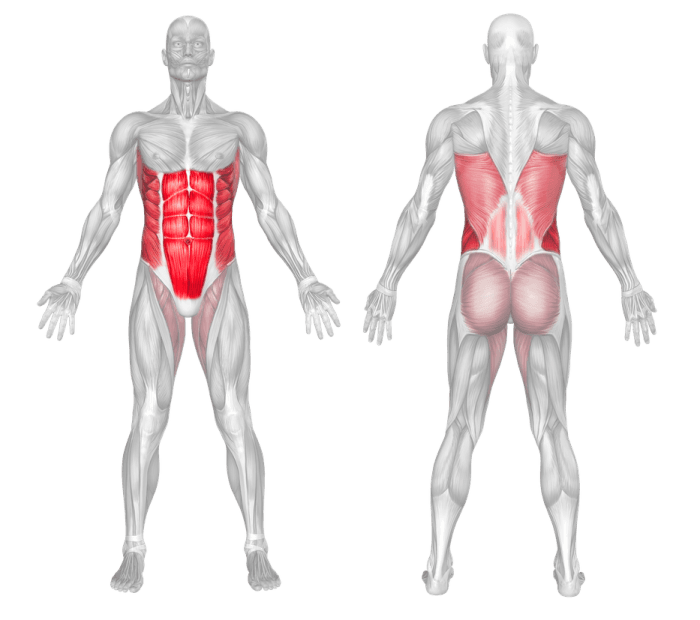 Nákres svalů core