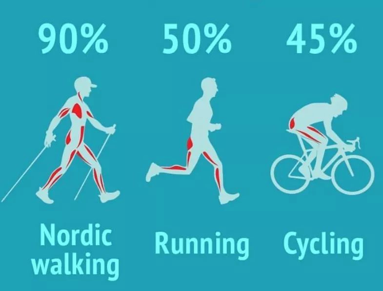 Míra zapojení svalů u Nordic Walking v porovnání s během a cyklistikou